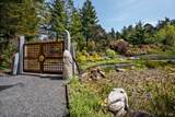 40811 Eureka Hill Road - Photo 70