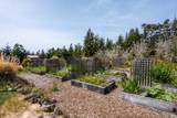 40811 Eureka Hill Road - Photo 81