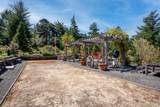 40811 Eureka Hill Road - Photo 85