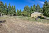 9115 Wildcat Road - Photo 19