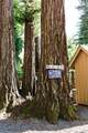 2859 Wallace Creek Road - Photo 46