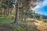 35995 Highway 1 - Photo 4