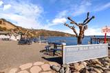 7795 Richard Drive - Photo 48