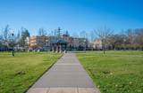 434 Emily Rose Circle - Photo 46