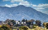 503 Easterby Street - Photo 33