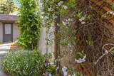 1019 Westside Road - Photo 53