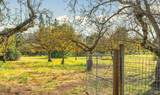 71 Frey Road - Photo 28