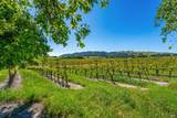 4560 Sonoma Mountain Road - Photo 13
