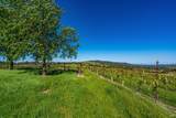 4560 Sonoma Mountain Road - Photo 16
