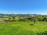 4560 Sonoma Mountain Road - Photo 22