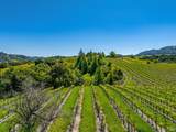 4560 Sonoma Mountain Road - Photo 24
