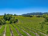 4560 Sonoma Mountain Road - Photo 38