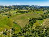 4560 Sonoma Mountain Road - Photo 48