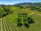 4560 Sonoma Mountain Road - Photo 7