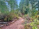 21155 Siri Road - Photo 9