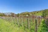 7025 Silverado Trail - Photo 8