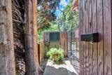 970 El Camino Avenue - Photo 39