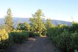 0 Mendocino Pass Road - Photo 12