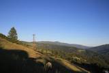 0 Mendocino Pass Road - Photo 16