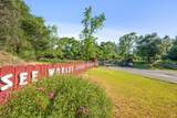 4100 Petrified Forest Road - Photo 2
