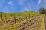 2590 Chileno Valley Road - Photo 24