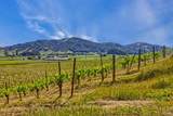 2590 Chileno Valley Road - Photo 25