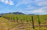 2590 Chileno Valley Road - Photo 8