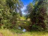 2371 Mcnab Ranch Road - Photo 25