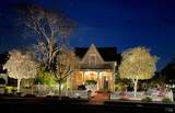 406 Franklin Street - Photo 8
