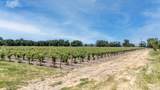 270 Soda Bay Road - Photo 5