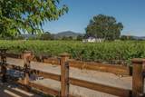 4223 Silverado Trail - Photo 15