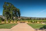 4223 Silverado Trail - Photo 51