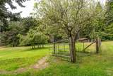 43390 Comptche Ukiah Road - Photo 53
