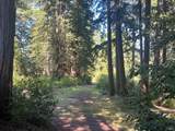 35905 Hauser Bridge Road - Photo 30