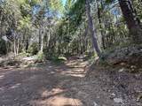 0 Little Dan Creek Road - Photo 13
