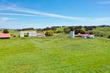 1140 Tomales Road - Photo 11