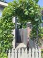 5341 Huckleberry Way - Photo 38
