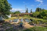 2855 Old Gravenstein Highway - Photo 5