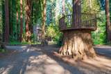 8790 Highway 128 Highway - Photo 47