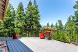 7256 Shasta Forest Drive - Photo 3