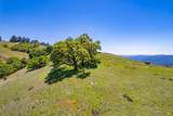 19780 Yorkville Ranch Road - Photo 15