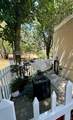 700 Shady Glen Road - Photo 21