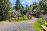 29301 Timberline Road - Photo 41