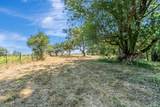 0 Bodega Highway - Photo 11