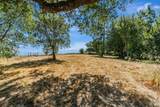 0 Bodega Highway - Photo 12
