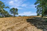 0 Bodega Highway - Photo 13