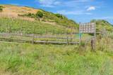 0 Bodega Highway - Photo 8