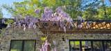 5270 Dry Creek Road - Photo 31