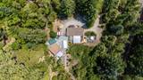 65001 Drive Thru Tree Road - Photo 4