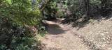 9660 Branscomb Road - Photo 31